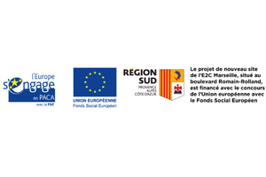 Logo Le Fonds Social Européen (FSE)